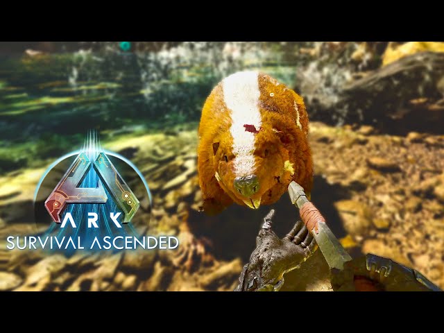 ARK: Survival Ascended 042 | Dem Biber auf den Zahn fühlen | Gameplay Deutsch Staffel 1