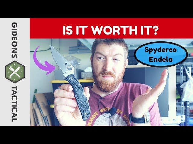 Spyderco Endela: IS IT WORTH IT?