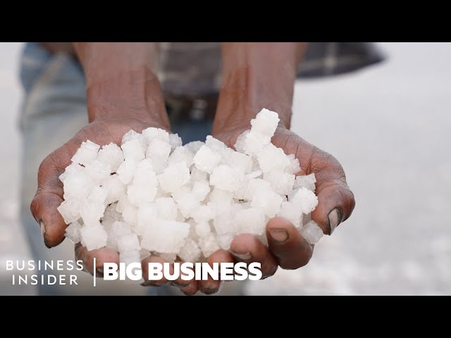 Why Salt Farmers Risk Their Lives To Harvest Desert Salt For $4 A Ton | Big Business