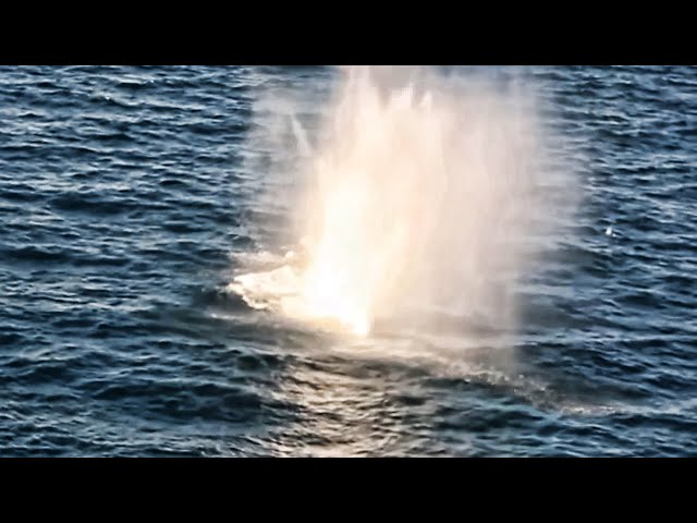 Shooting Small Boat Targets From Helicopters • US Marines