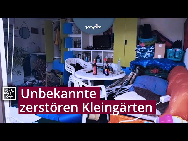 Zimmer verwüstet und Exkremente hinterlassen: Unbekannte zerstören Kleingärten | Kripo live | MDR