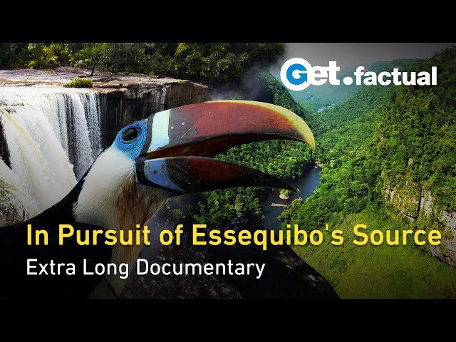 Essequibo: Hidden River - From The Vast Delta to the Mysterious Source | Extra Long Documentary