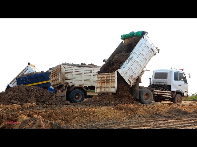 Power Dumper Truck Bulldozer Operating Partner Job Soil Spread And Pushing