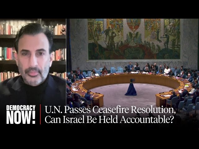Ex-U.N. Official Craig Mokhiber: Israel Must Be Held Accountable for Violating Ceasefire Resolution