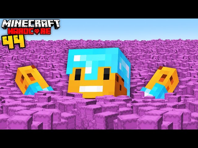 UNLIMITED SHULKER BOXES in Minecraft Hardcore