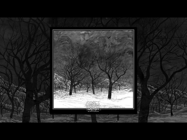 Ethereal Shroud - They Became the Falling Ash (2020 Remaster) [Full Album]