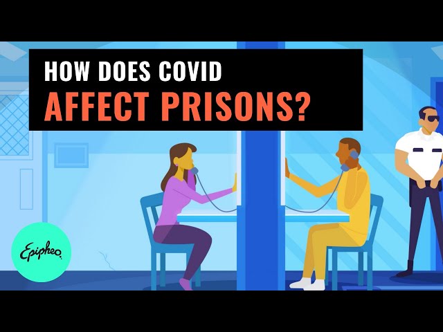 How Does Covid Affect Prisons? — Covid Prison Outbreak | Epipheo