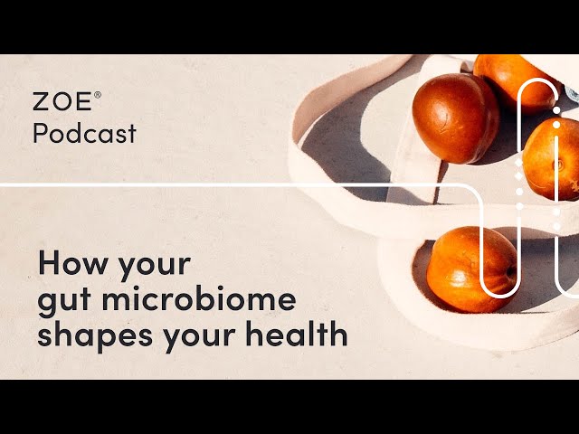 The Gut Microbiome: What Is It and Why Should You Care About Yours? | ZOE Science Podcast