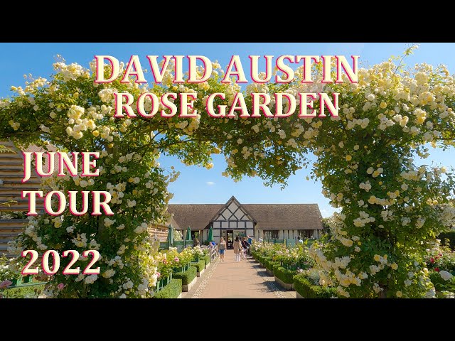 David Austin Rose Garden  - June Tour 2022