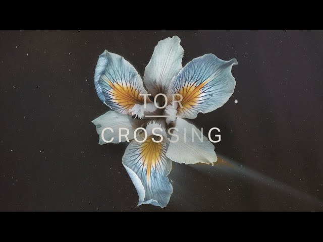Tor - Crossing (Official Audio)