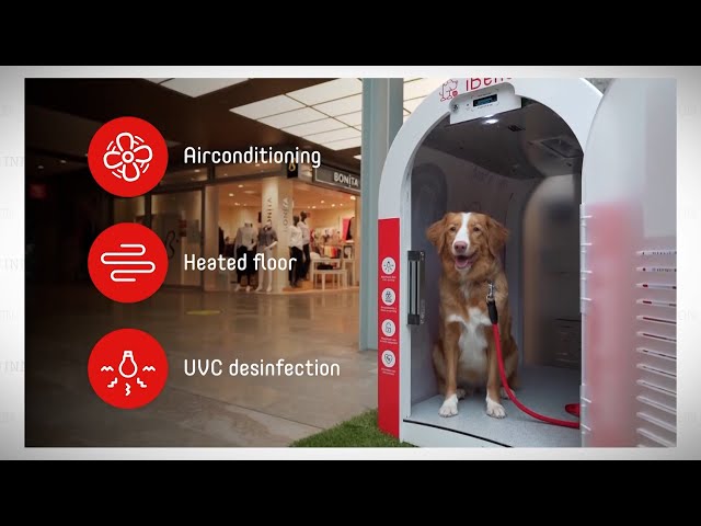 Dog Parking Box |The Henry Ford’s Innovation Nation