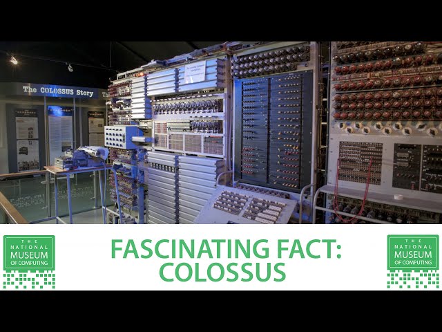 Fascinating Fact | Colossus