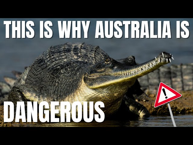BE CAREFUL WHEN GOING TO AUSTRALIA