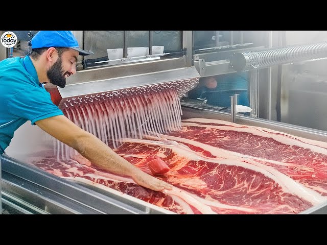 Satisfying Videos Modern Meat Technology Processing Machines - Meet Processing Factory