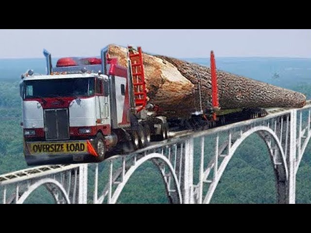 angerous Fastest Idiost Logging Wood Truck | Heavy Equipment Big Logging Wood Truck Driving Fails.