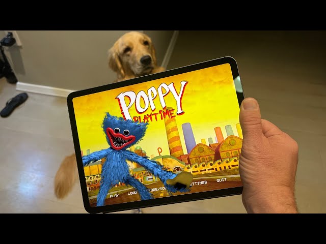 HUGGY WUGGY IS IN MY IPAD!! | Poppy Playtime OFFICIAL Mobile