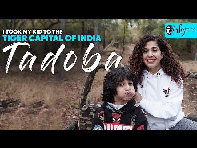 I Took My Kid To The Tiger Capital Of India: Tadoba National Park | Curly Tales
