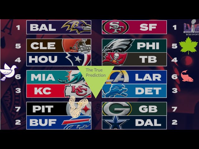NFL 2023-2024 Playoff Predictions!!?!