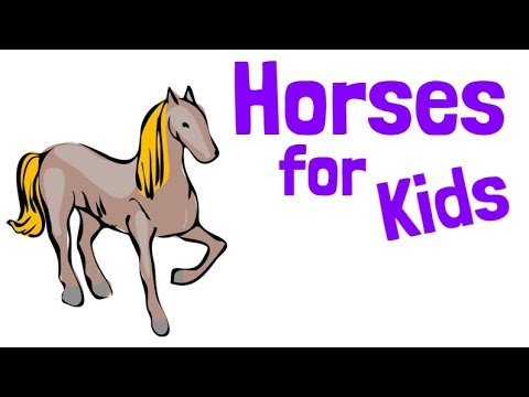 Horse Videos For Kids 🐴 FUN!