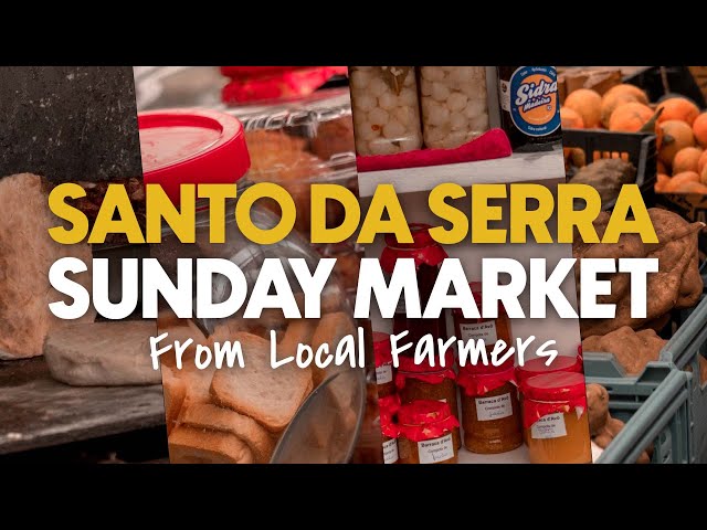 What to do in MADEIRA on a SUNDAY!? - Santo da Serra Farmer's Market