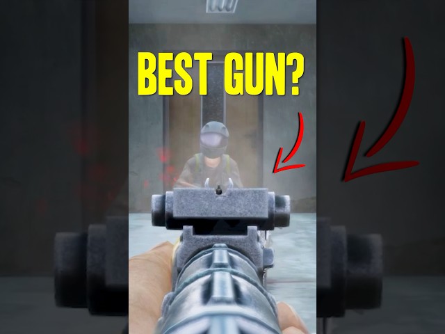 Is the AKM the BEST GUN? ✅