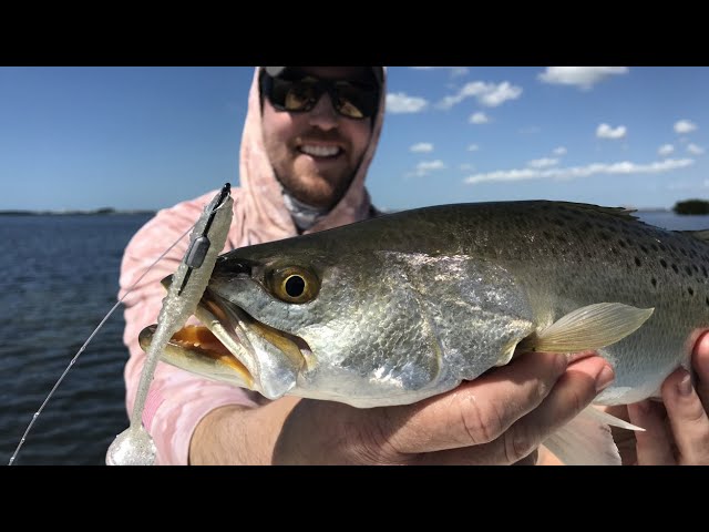 How to catch ENDLESS 20+ INCH TROUT (using artificial lures and a special scent)