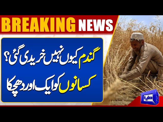 Another Blow To Farmers | Important News Regarding Wheat | Dunya News