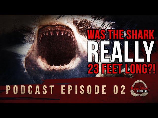 ATTACKED By A 23Ft Long White Shark?! - Lewis Boren Story Continued - Podcast 02
