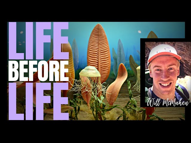 Life Before Life - The Ediacaran Explosion ~ with WILLIAM MCMAHON