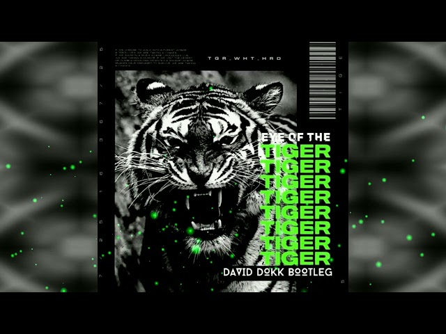 Eye Of The Tiger - (David Dokk Bootleg)
