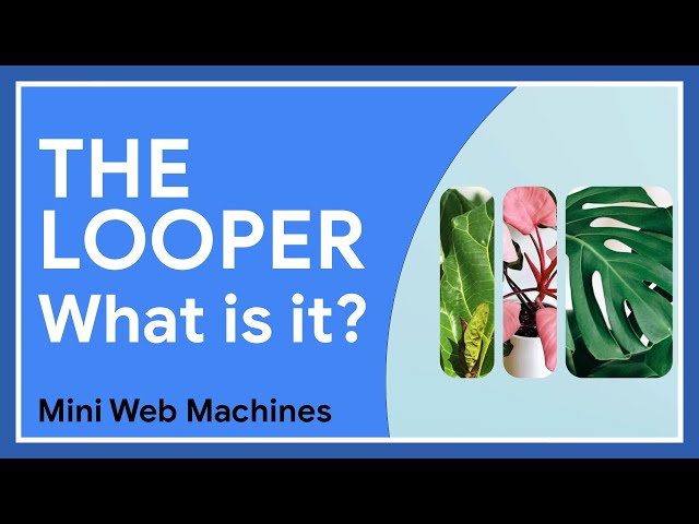 The Looper Mini Web Machine