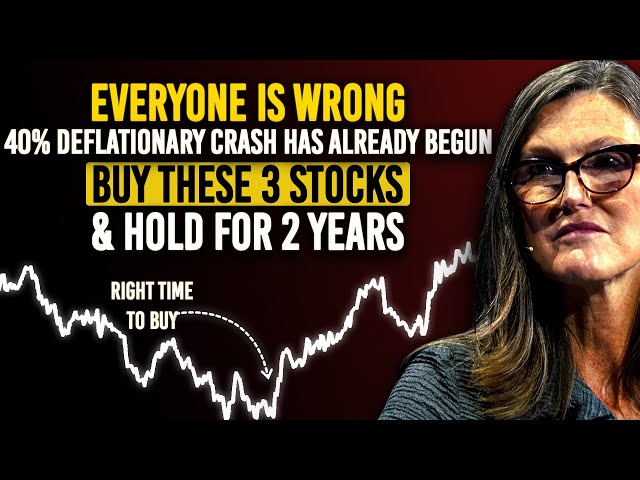 Cathie Wood: Market Will Crash 47% Next Month, You Only Need 3 Stocks To Buy Everyone Is Fearful