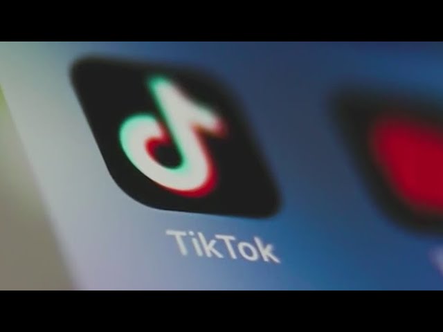 Next potential TikTok owner could be decided by who wins presidential election: Expert | Morning in