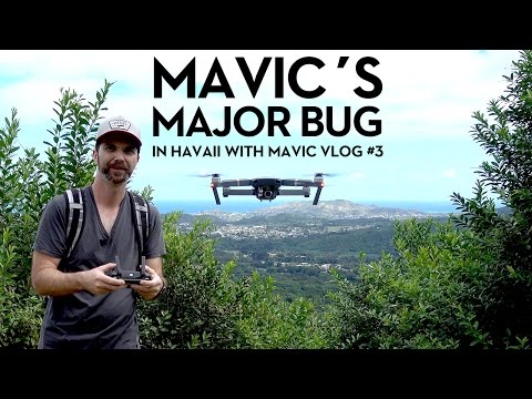 Mavic's Major Bug — Hawaii VLOG #3 [4K]