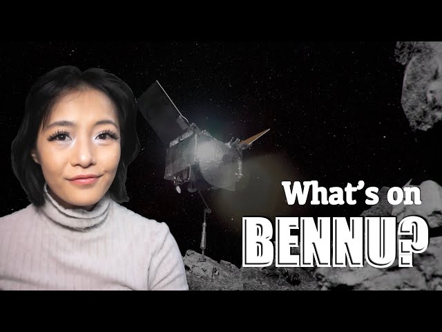 Bennu's Bounty: First look at the rocks!