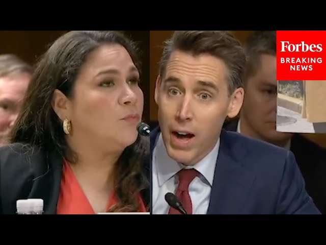 'Shouldn't We Be Deporting These Students?': Hawley Questions Witness About Non-Citizen Protesters