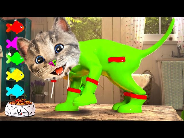 MY FAVORITE LITTLE KITTEN ADVENTURE - FUN PET CARE AND CAT VIDEO CARTOON
