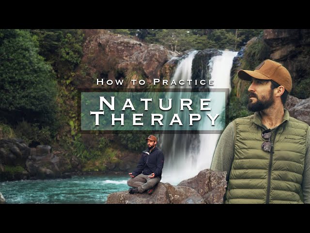 How To Practice Nature Therapy & Forest Bathing