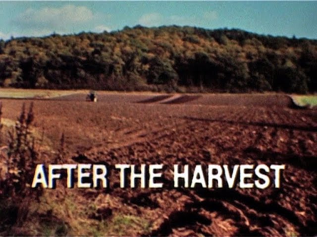 After the Harvest