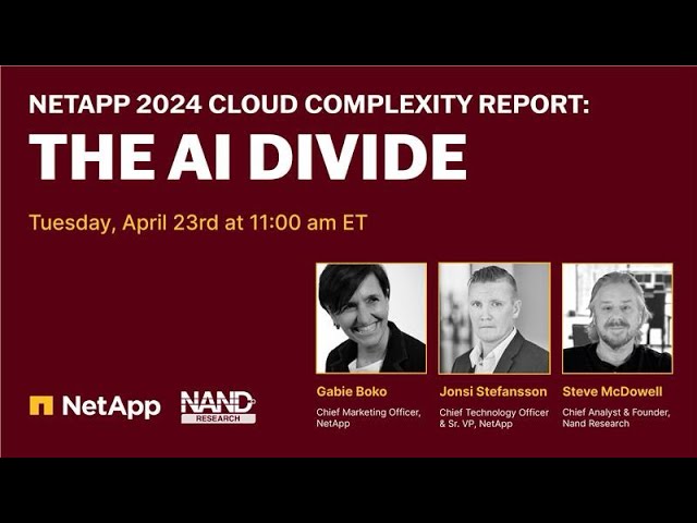 NetApp 2024 Cloud Complexity Report: The AI Divide