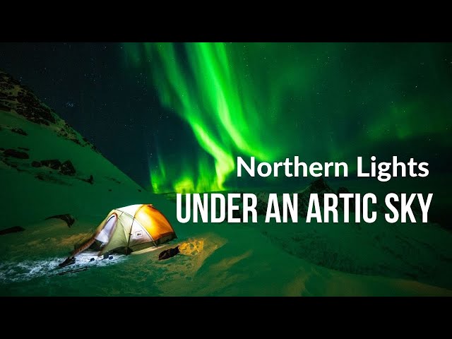One Week in Norway | Lofoten & Senja | Northern Lights | Drone & Timelapse 4K
