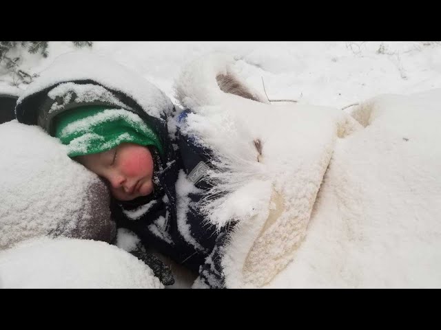 Winter Survival Camping with 4 yr old in Alaska - Primitive Survival Shelter