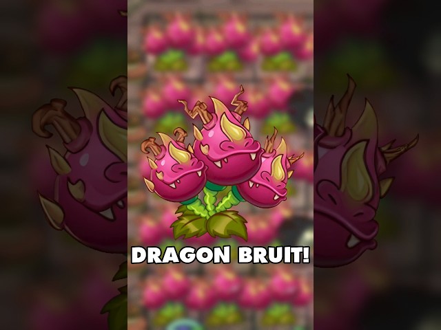 Dragon Bruit in PvZ2!