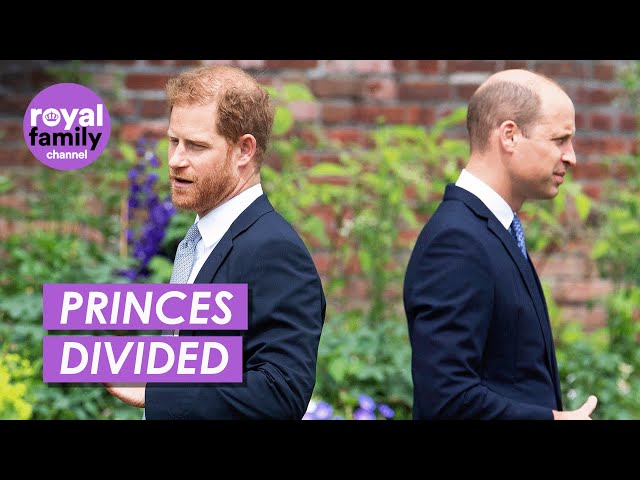 Prince William and Harry Avoid Each Other at Diana's Memorial