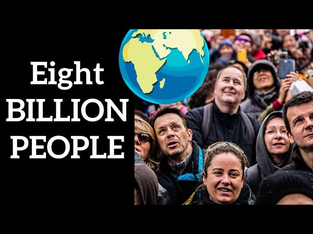 There Are Eight Billion People!