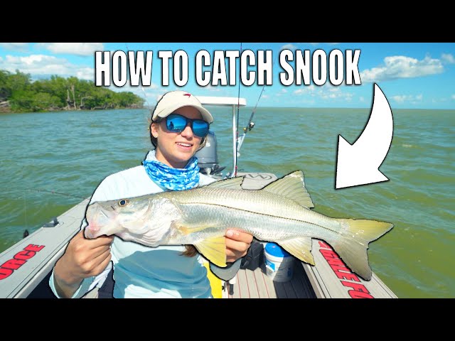 How To Catch Snook with Mullet - Fishing with Live Bait