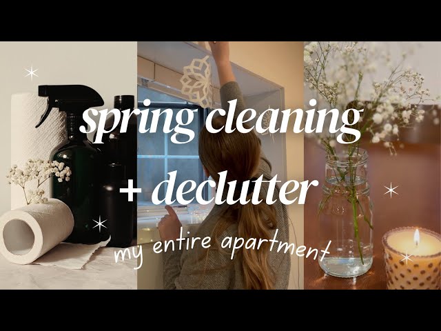 🧹spring cleaning & decluttering my entire apartment