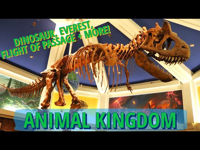 Disney's Animal Kingdom - First Time on Avatar Flight of Passage, DINOSAUR Dark Ride, Everest + More