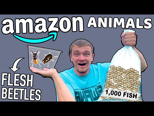 I Bought Crazy Animals You Didn't Know were Sold on Amazon!