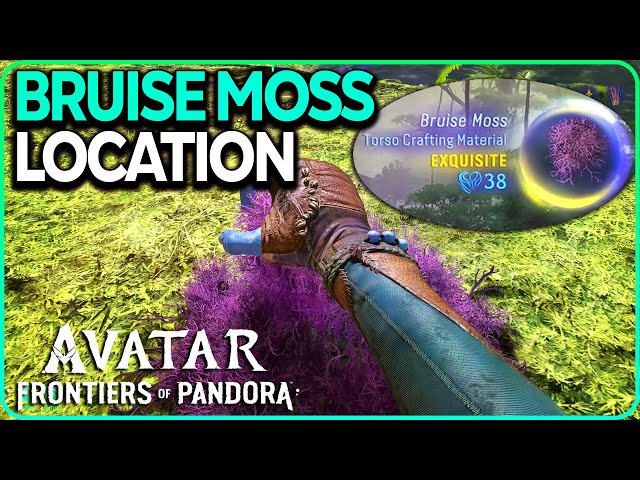 Exquisite Bruise Moss Location Avatar Frontiers of Pandora